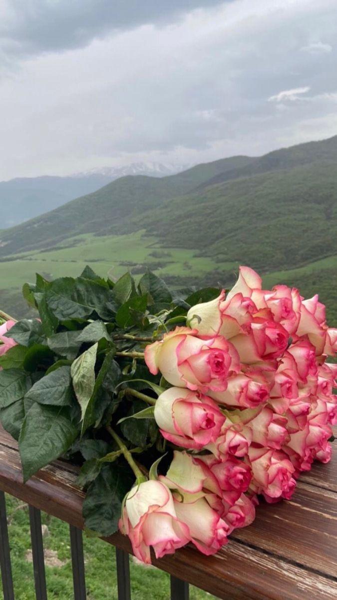 Serene Meadows Harmony Flower Selection